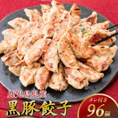 大阪府豊中市　黒豚冷凍餃子　96個