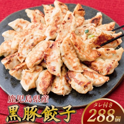 黒豚冷凍餃子 288個