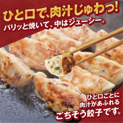 黒豚冷凍餃子 288個