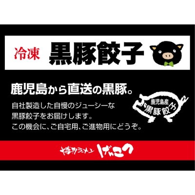 自家製冷凍黒豚餃子焼豚セット