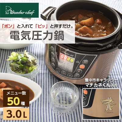 「ポン」と入れて「ピッ」と押すだけ!　電気圧力鍋 3L OEDC30G
