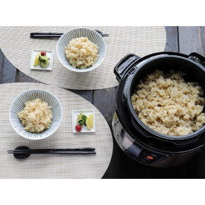 「ポン」と入れて「ピッ」と押すだけ!　電気圧力鍋 3L OEDC30G