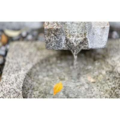 神域の水を使った「神社ビール」IPA6本セット