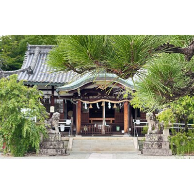神域の水を使った「神社ビール」IPA・ヴァイツェンのミックス24本セット