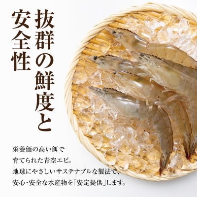 青空えび(和名:シロアシエビ)3パック入り