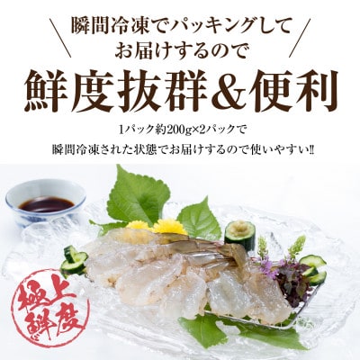 青空えび(和名:シロアシエビ)3パック入り
