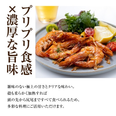青空えび(和名:シロアシエビ)3パック入り