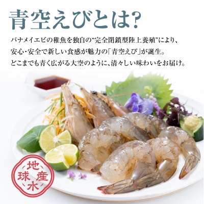 青空えび(和名:シロアシエビ)3パック入り