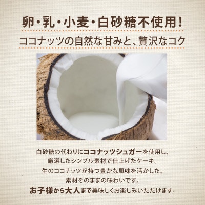 【無添加・ヴィーガン】手作り米粉ココナッツケーキ