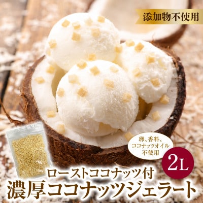【卵・香料不使用】濃厚ココナッツジェラート業務用2L入りとローストココナッツ100gのセット