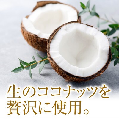 【卵・香料不使用】濃厚ココナッツジェラート業務用2L入りとローストココナッツ100gのセット