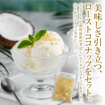 【卵・香料不使用】濃厚ココナッツジェラート業務用2L入りとローストココナッツ100gのセット
