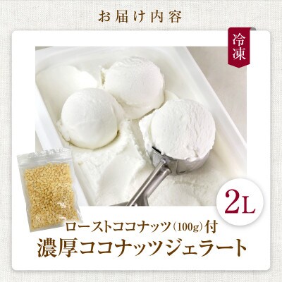 【卵・香料不使用】濃厚ココナッツジェラート業務用2L入りとローストココナッツ100gのセット