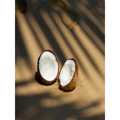 【香料・乳化剤不使用】手作りミニココナッツロールケーキ3種セット(プレーン、猿島茶、あおもりカシス)