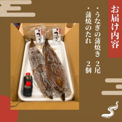 【寿司海鮮和食処 やますい】鹿児島産うなぎ蒲焼 2尾(合計約460g)