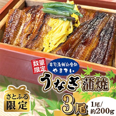 【さとふる限定】数量限定【寿司海鮮和食処やますい】鹿児島県産うなぎ蒲焼(約200g×3尾)