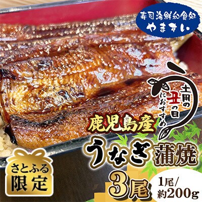 【さとふる限定】土用の丑の日におすすめ!【7月より順次発送】鹿児島産うなぎ蒲焼　約200g×3尾