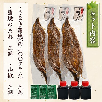 【さとふる限定】土用の丑の日におすすめ!【7月より順次発送】鹿児島産うなぎ蒲焼　約200g×3尾