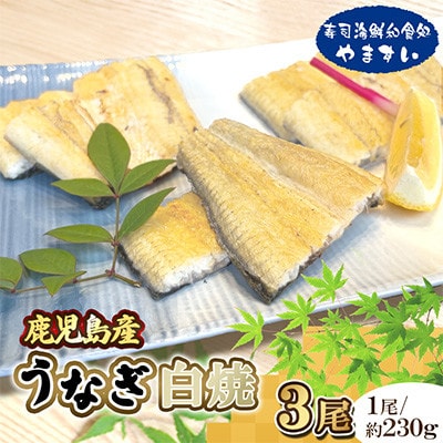 【寿司海鮮和食処 やますい】鹿児島産うなぎ白焼 3尾(各約230g)