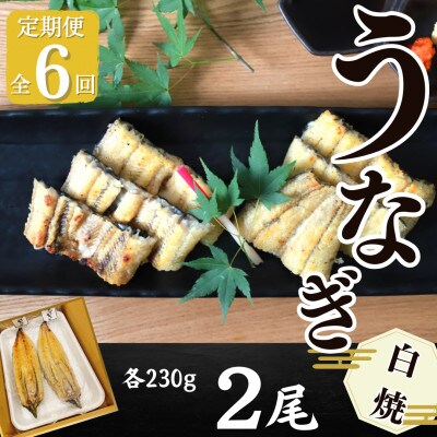 【毎月定期便】【寿司海鮮和食処 やますい】鹿児島産うなぎ白焼 2尾(合計約460g)全6回