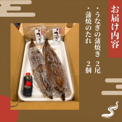 【毎月定期便】【寿司海鮮和食処 やますい】鹿児島産うなぎ蒲焼 2尾(合計約460g)全3回