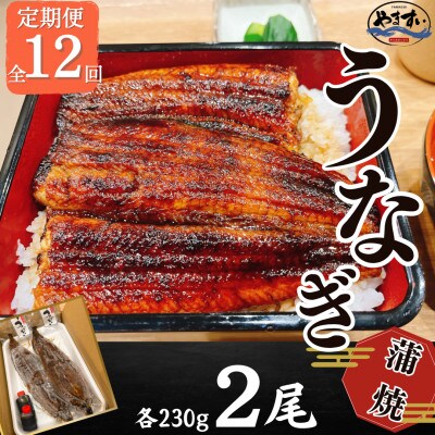【毎月定期便】【寿司海鮮和食処 やますい】鹿児島産うなぎ蒲焼 2尾(合計約460g)全12回
