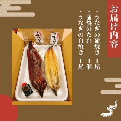 【毎月定期便】【寿司海鮮和食処 やますい】鹿児島産うなぎ蒲焼と白焼2尾(各約230g)全12回