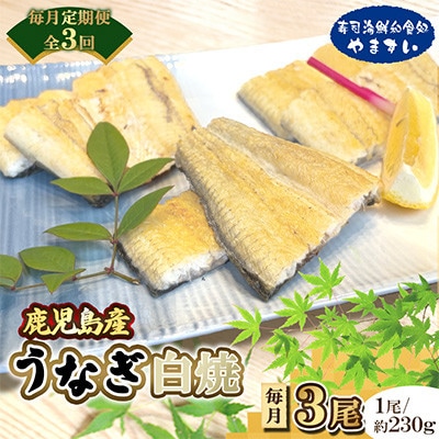 【毎月定期便】【寿司海鮮和食処 やますい】鹿児島産うなぎ白焼 3尾(各約230g)全3回