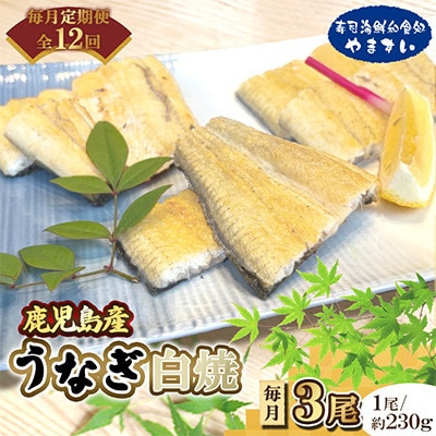 【毎月定期便】【寿司海鮮和食処 やますい】鹿児島産うなぎ白焼 3尾(各約230g)全12回