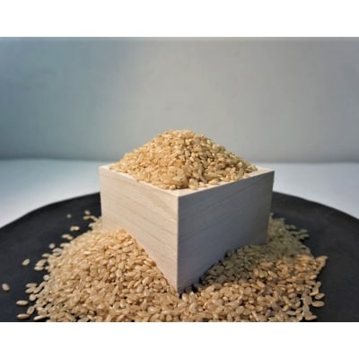 古野農場の合鴨農法で作った「合鴨米・玄米4kg」令和4年産
