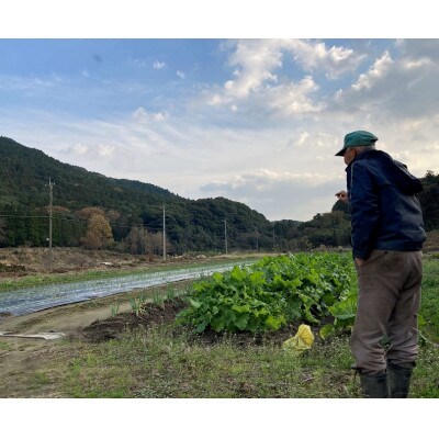 福六のなると金時芋納豆210g×3袋【桂川町産なると金時】