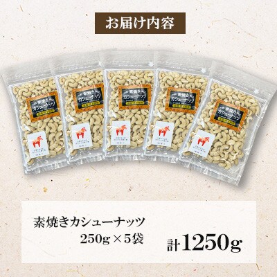 【毎月定期便】素焼き カシューナッツ 250g×5袋全3回