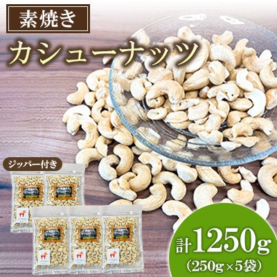 【毎月定期便】素焼き カシューナッツ 250g×5袋全6回
