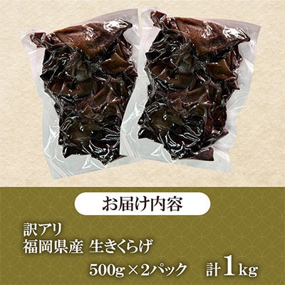 【訳あり】福岡県桂川町産　採れたて生きくらげ　計約1kg(約500g×2パック)