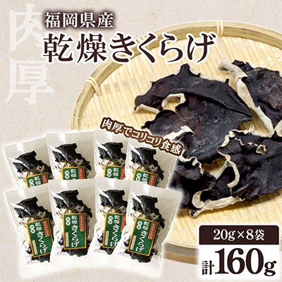 福岡県桂川町産　乾燥きくらげ　計160g(20g×8袋)(桂川町)