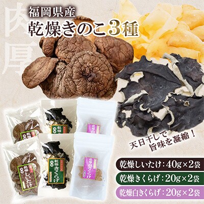 福岡県桂川町産　乾燥きのこ3種×2セット(しいたけ各40g/きくらげ・白きくらげ各20g)(桂川町)