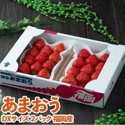 【11月下旬より順次発送】フルーツソムリエが選んだ【冬】あまおうDX(デラックス)2パック(桂川町)