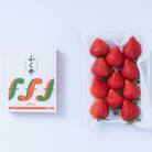 【11月下旬より順次発送】福岡産あまおう&ふくや味の明太子100g(桂川町)