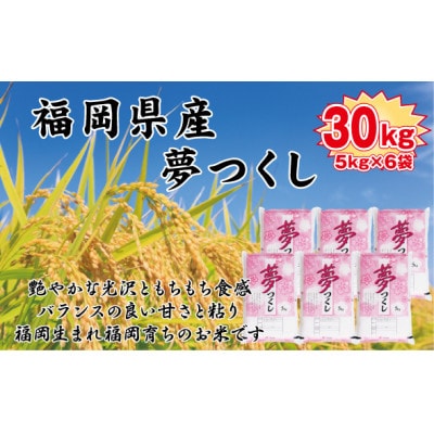 【令和7年産】【食味鑑定士厳選】福岡県産 夢つくし30kg(5kg×6袋)(桂川町)