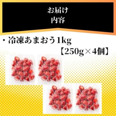 福岡県産 冷凍あまおう1kg(250g×4個)　訳あり(桂川町)