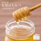 高原町産天然はちみつ　1.2kg(600g×2本)　特産品番号364
