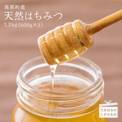 高原町産天然はちみつ　1.2kg(600g×2本)　TF364