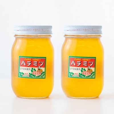 高原町産天然はちみつ　1.2kg(600g×2本)　TF364