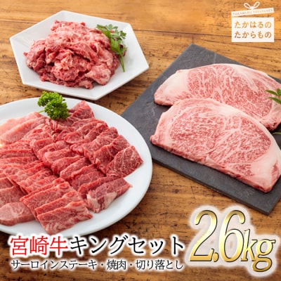 《内閣総理大臣賞受賞》宮崎牛キングセット(2.6kg) 黒毛和牛詰め合わせ 特産品番号287