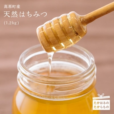 高原町産天然はちみつ(1.2kg)　特産品番号269