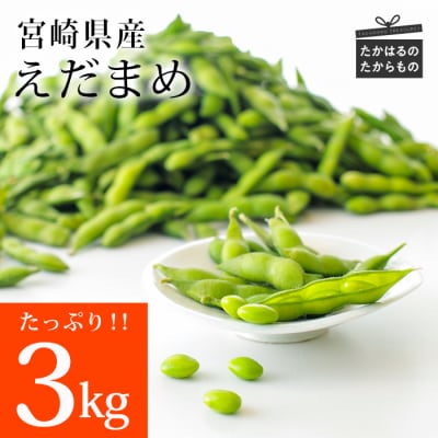 宮崎県産えだまめ3kg(500g×6袋)　TF296