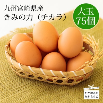 宮崎県産『きみの力(チカラ)』L玉75個　特産品番号406