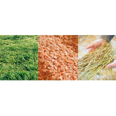 有田牧場直送 薬剤不使用 この華牛切落しスライス 1kg TF458