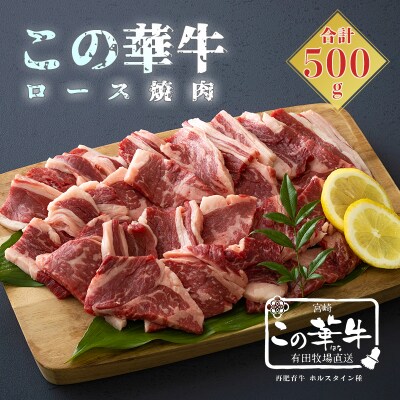 有田牧場直送 薬剤不使用 この華牛ロース焼肉 500g TF460