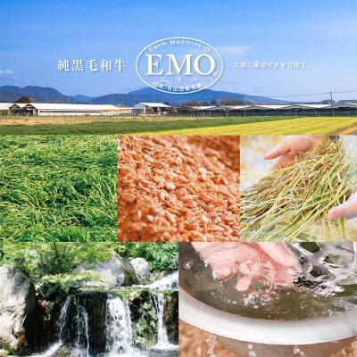 有田牧場直送 薬剤不使用 この華牛ロース焼肉 500g TF460